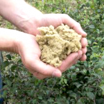 Einblasdämmung Steinwolle, Paroc, Rockwool, Ecofibre, Climastone