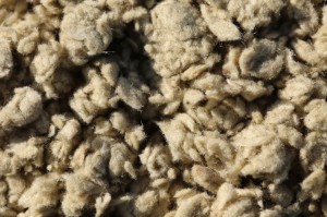 Großaufnahme Steinwolle Rockwool, Paroc, Climastone