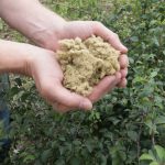 Gebäudetrennfuge dämmen, Steinwolle A1