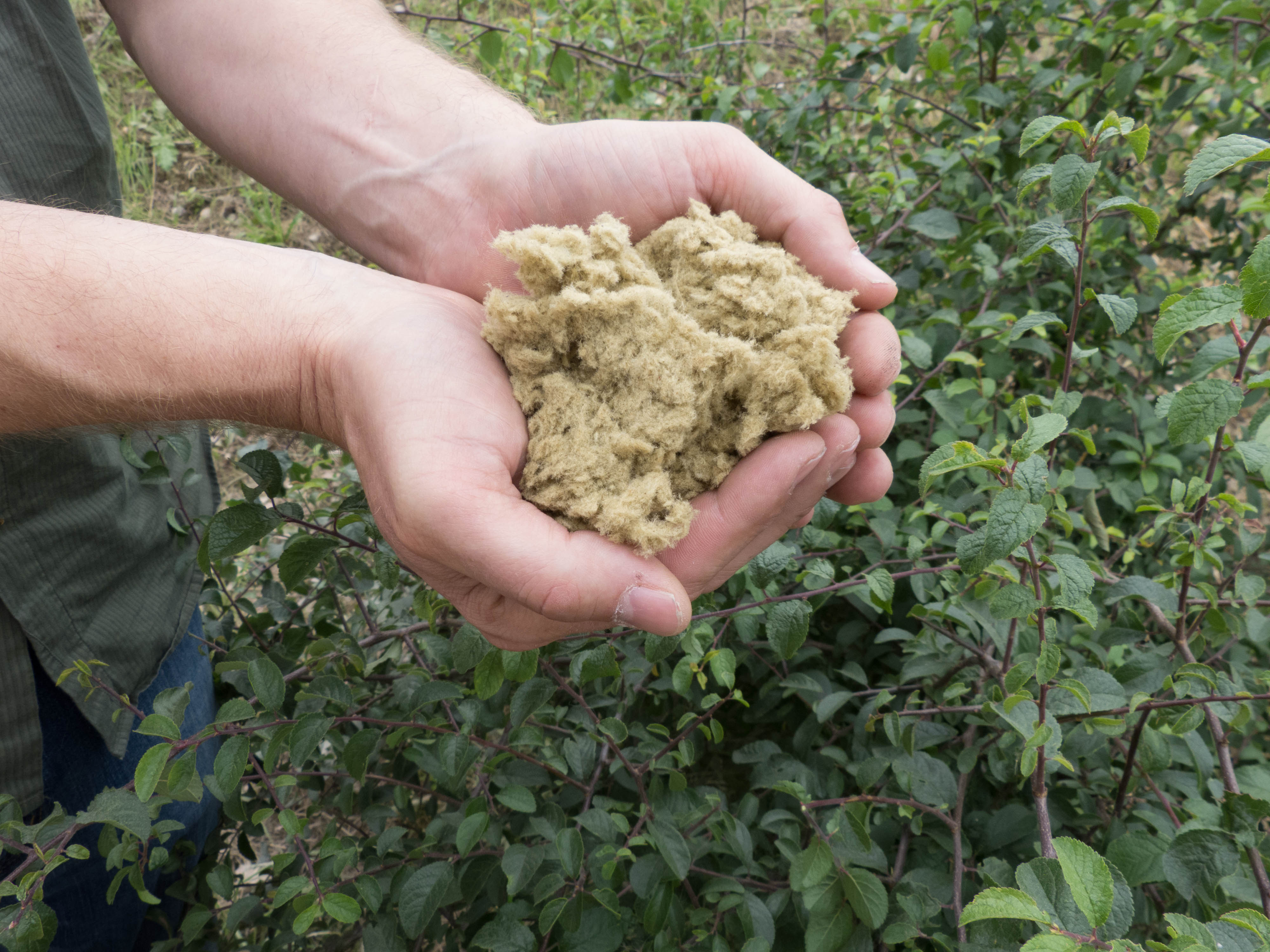 Gebäudetrennfuge dämmen, Steinwolle A1